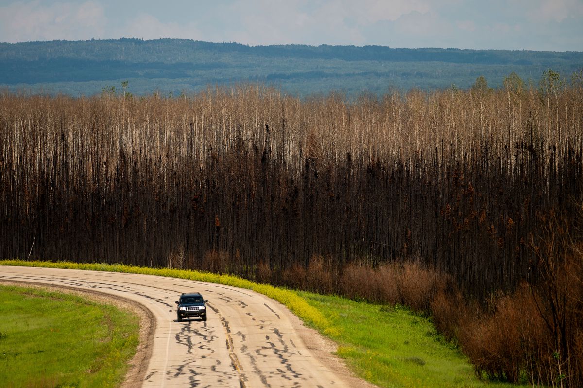 En bil kjører forbi svidde trær i provinsen Alberta i Canada. Rekordmange mennesker har blitt evakuert som følge av årets skogbranner i landet. Foto: Noah Berger / AP / NTB