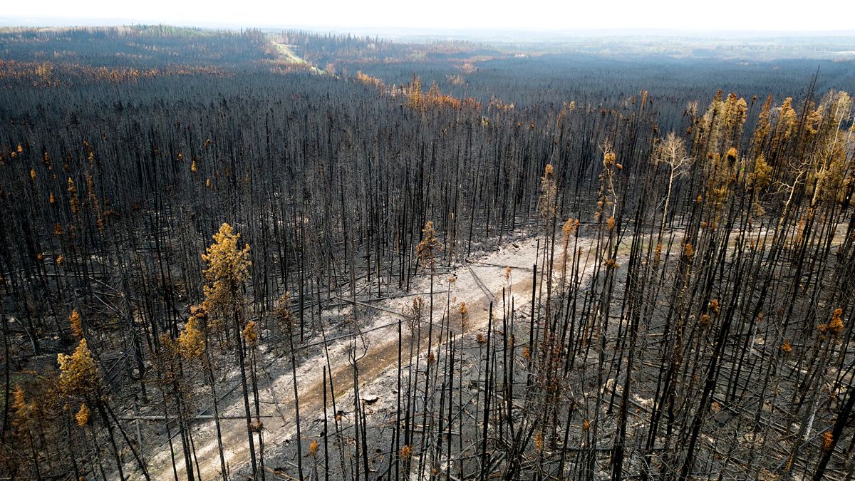 Prislappen for å bekjempe skogbrannene i Canada kan bli rekordstor etter årets brannsesong. Foto: Noah Berger / AP / NTB