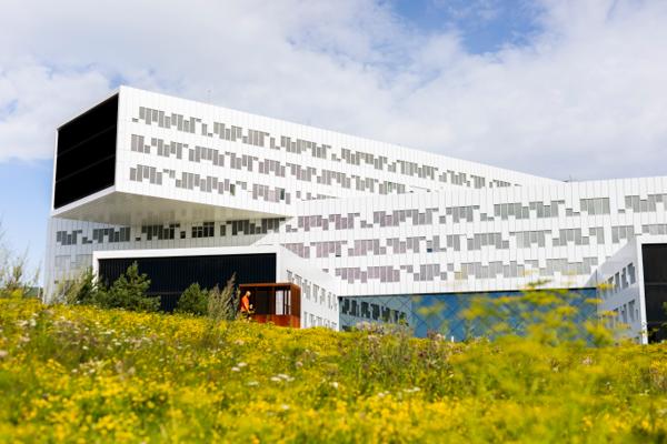 Regionskontoret til Equinor på Fornebu kan bli tvangssolgt. Foto: Frederik Ringnes / NTB