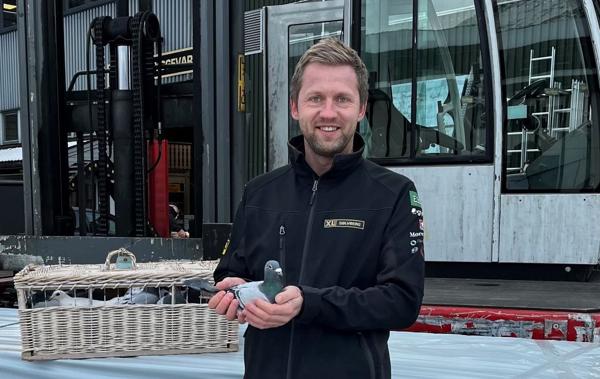 Daglig leder i XL-Bygg Sølvberg, Øyvind Aarheim, avler og trener brevduer til internasjonale konkurranser. Foto: Privat