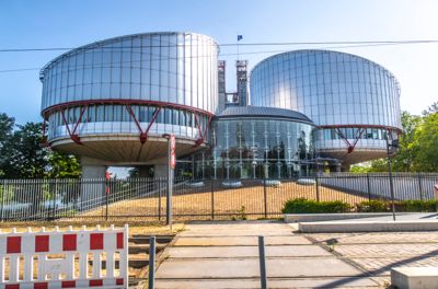 Den europeiske menneskerettsdomstolen (EMD) i Strasbourg skal vurdere sju nye saker om det norske barnevernet