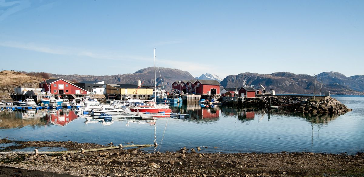 Lurøy er en kommune rik på fisk og lokalt eierskap som som gir en skatteinngang mange andre kommuner bare kan drømme om. De neste fire årene blir det Høyre-ordfører for laksekommunen. Foto: Rami Skonseng