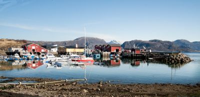 Lurøy er en kommune rik på fisk og lokalt eierskap som som gir en skatteinngang mange andre kommuner bare kan drømme om. De neste fire årene blir det Høyre-ordfører for laksekommunen. Foto: Rami Skonseng