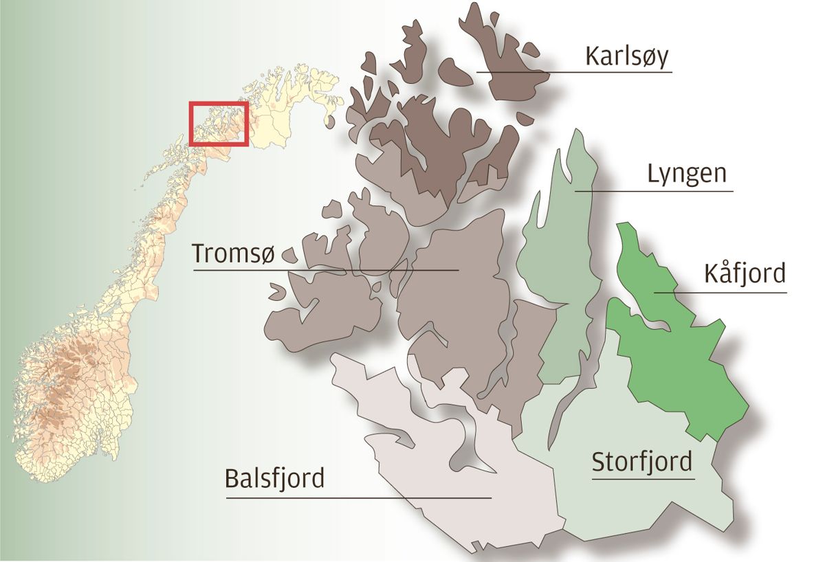I Troms starter Lyngen, Storfjord og Kåfjord forhandlinger om sammenslåing. Senere blir det forhandlinger om storkommunealternativet med Tromsø, Lyngen, Storfjord, Karlsøy og Balsfjord. Illustrasjon: Britt Glosvik
