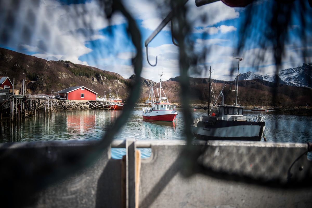 Ulovlig anskaffelse: Steigen kommune må punge ut for det Kofa mener er en ulovlig direkteanskaffelse av IKT-driftstjenester. Arkivfoto: Lisa Rypeng