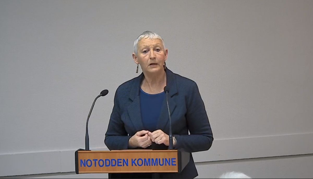 Anne Haugen Wagn (SV) ble så rystet over uttalelser om homofile at hun så behovet for å vedta en handlingsplan. Foto: Skjermdump fra kommunestyremøte