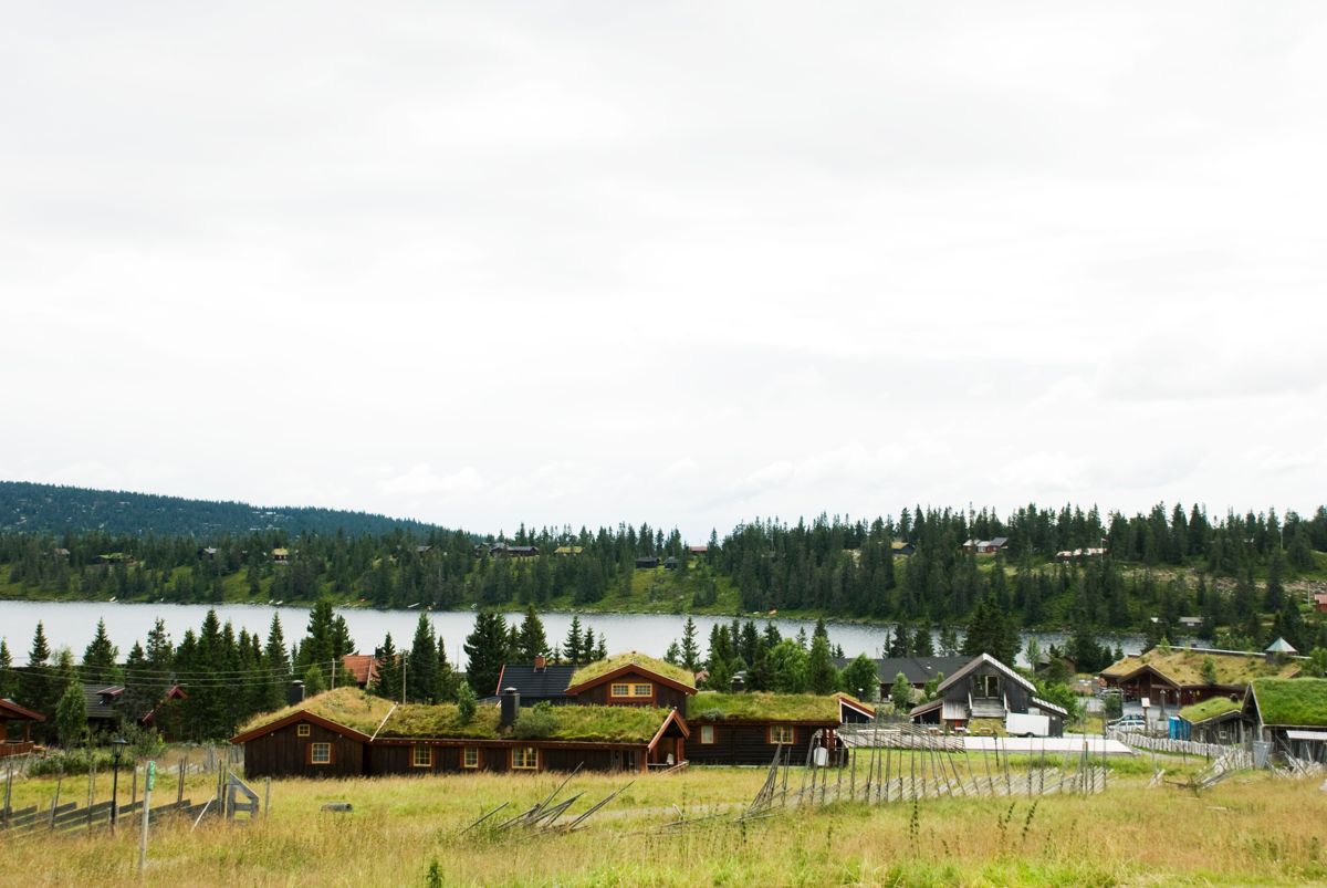 Sjusjøen er et av landets mest populære hytteområder. Nå har Ringsaker kommune vedtatt full byggestopp. Foto: Berit Roald/NTB Scanpix