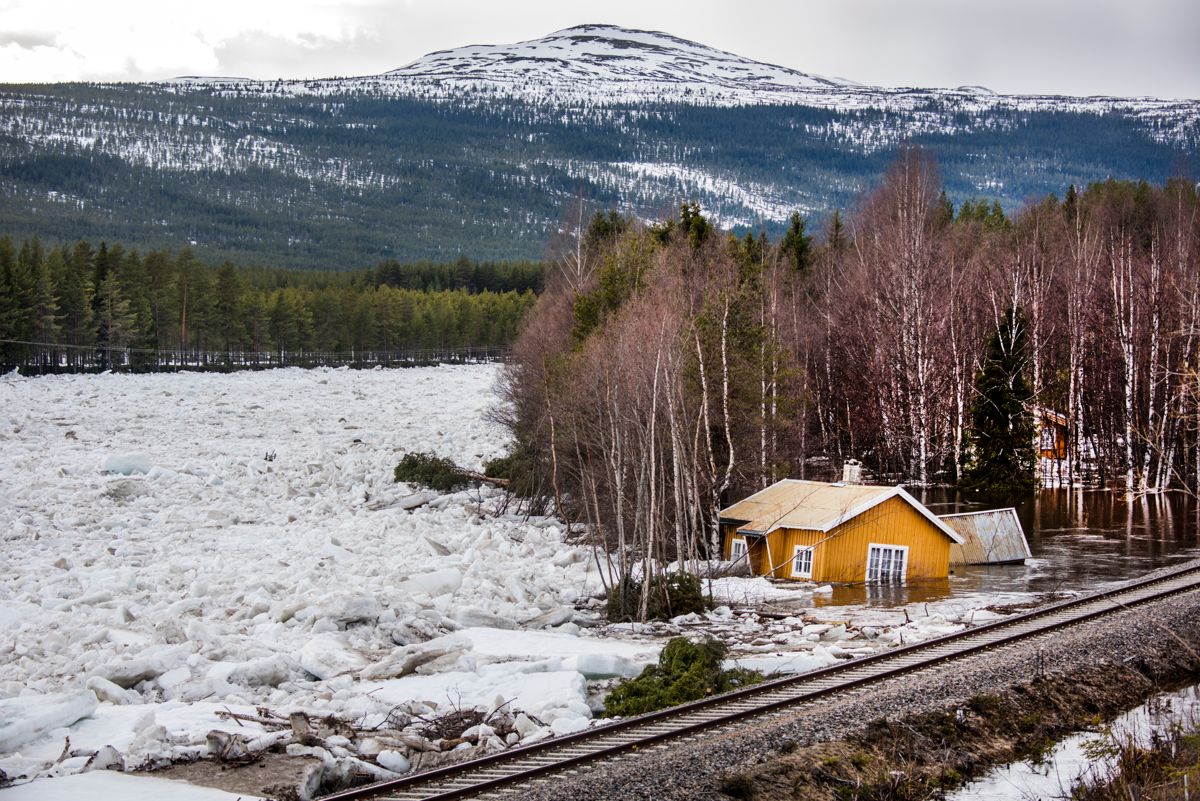 Flom i Glomma, Rendalen kommune, etter isgang med «ispropp» som løsnet.