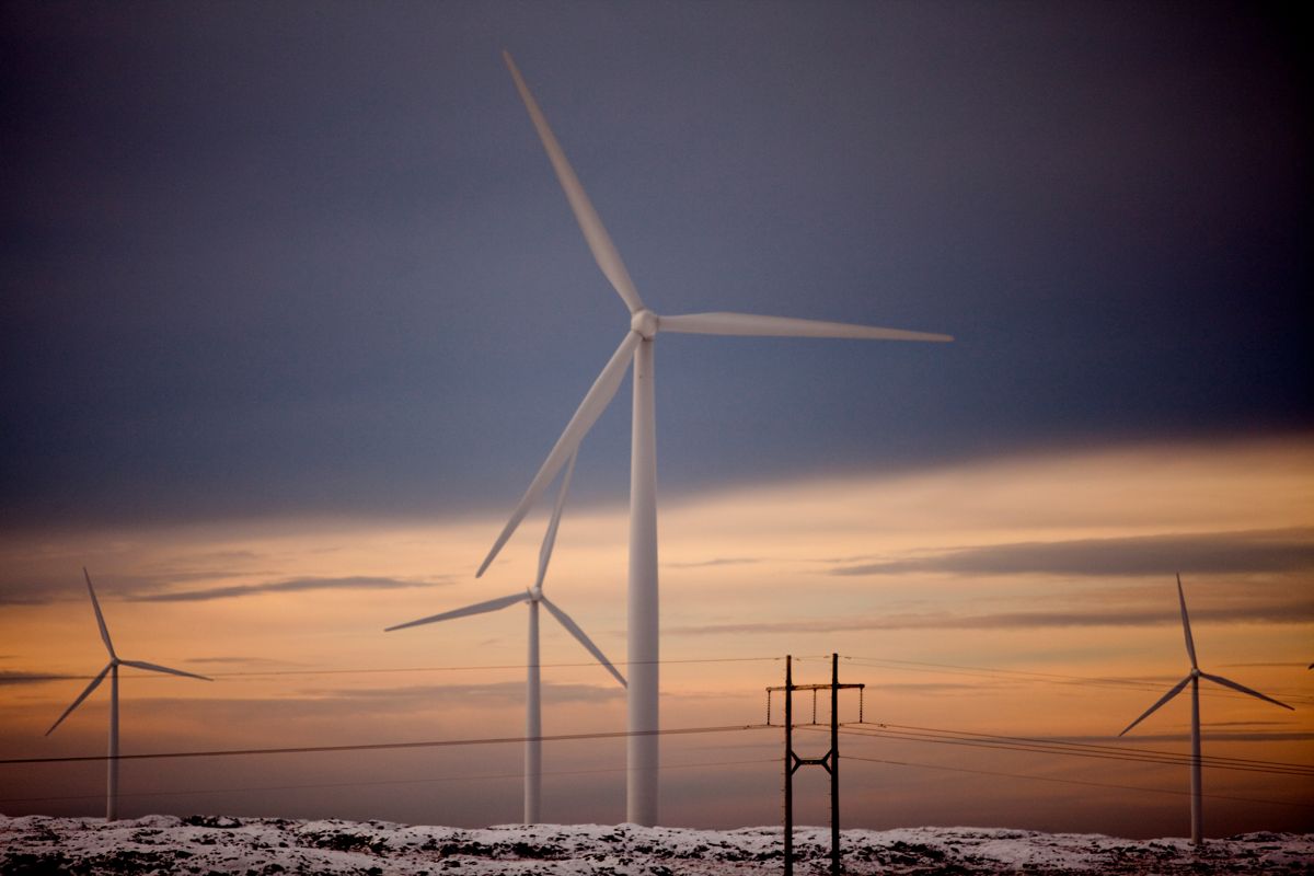 NVE har pekt ut 13 nye områder som egner seg for vindkraft. Bildet er fra Smøla på Nordmøre. Arkivfoto: Eivind Natvig