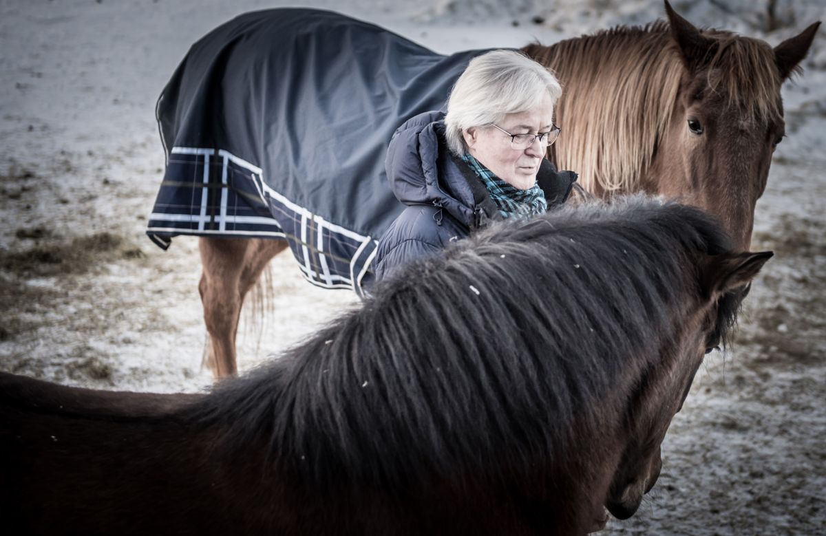 Det har vært et tøft år, men hestene og vennene har vært en god støtte for Tor Arne Selvli. Han føler seg utstøtt fra rådhuset etter at han varslet om det han mente var kritikkverdige forhold. Foto: Lisa Rypeng