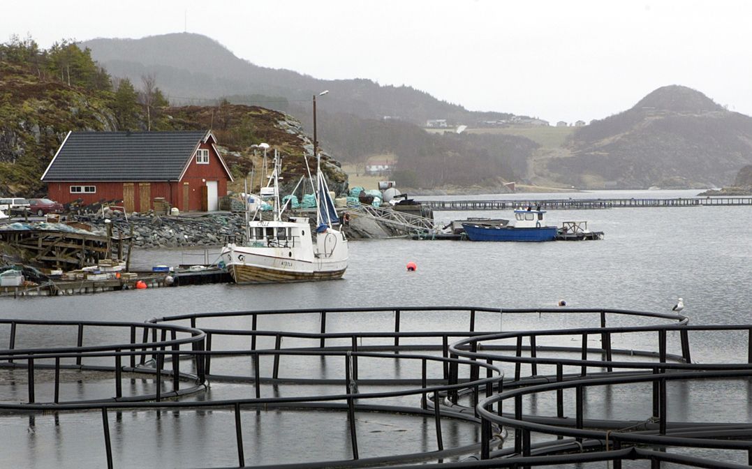 Leka går sammen med sju andre øykommuner for å unngå sammenslåing. Foto: Ole M. Melgård