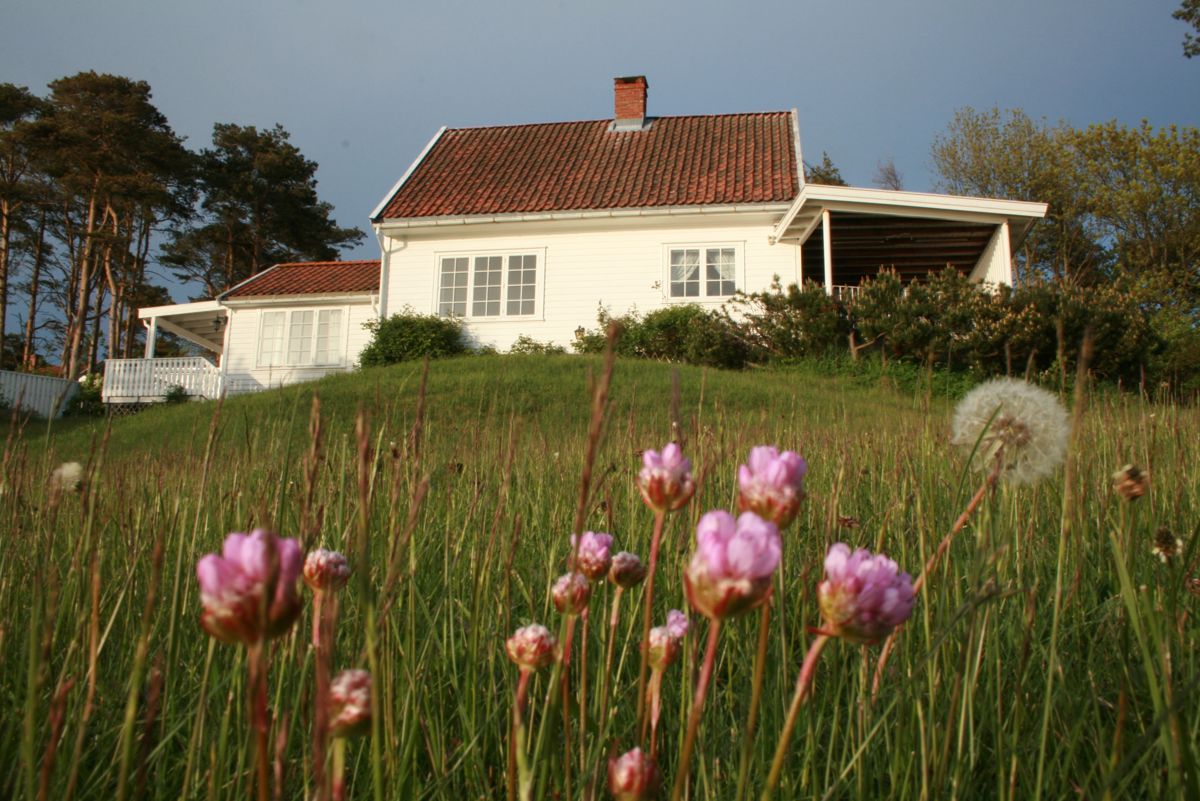 En sak om boplikt for denne eiendommen på Hvasser i Tjøme utløste varselet i 2015. Foto: Tom Brodin