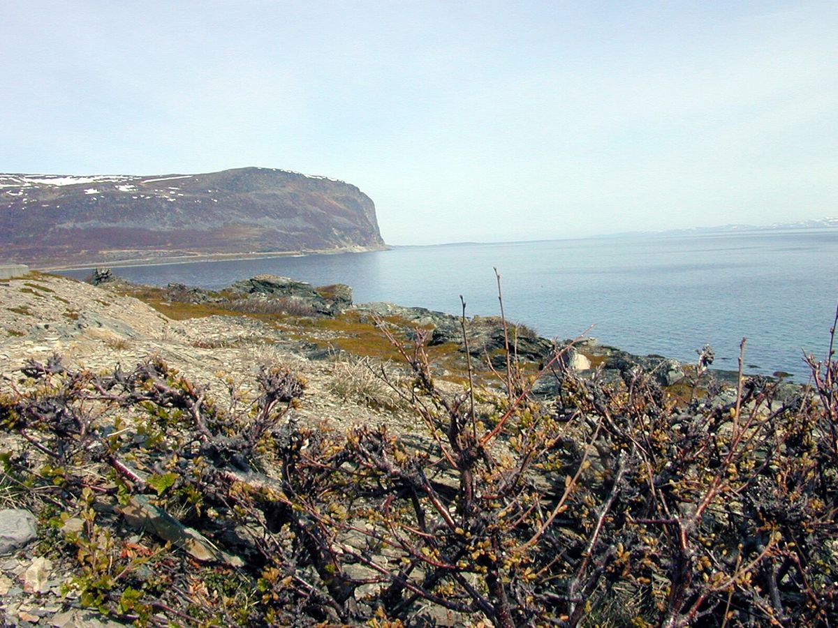 Porsangerfjorden. Foto: Tore Sannum NTB scanpix