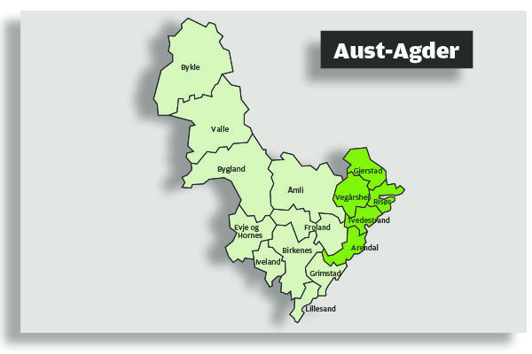 Det kan bli en ny storkommune av fem kommuner øst i Aust-Agder.