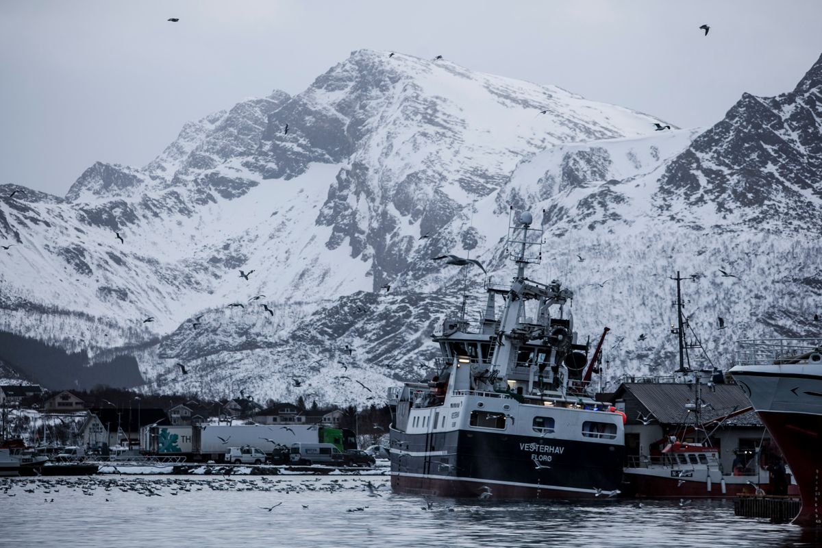 Ledere i Øksnes kommune fikk ikke god nok mulighet til samtidig imøtegåelse, mener PFU. Foto: Magnus Knutsen Bjørke