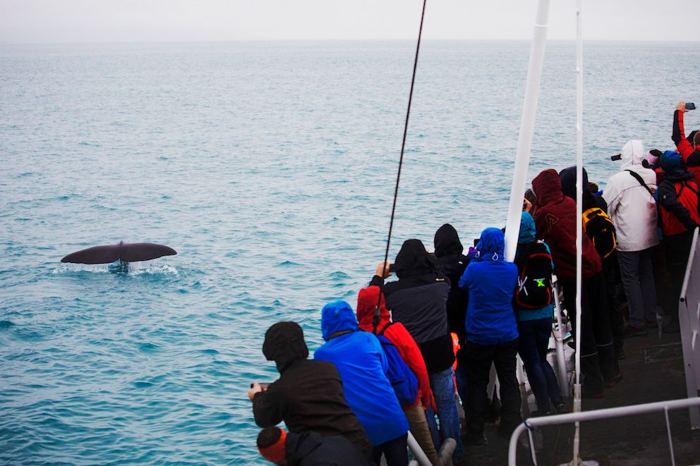 Inntektene fra reiseliv er nesten tre ganger så høye som skatten fra sjømatnæringen, skriver Kristin K. Devold. Illustrasjonsfoto: Therese Alice Sanne, NTB scanpix