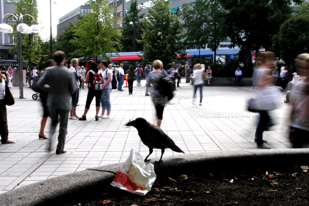 Folket må være med, og for at det skal skje, trengs en holdningsendring, mener Siri Spillum. Illustrasjonsfoto: Thomas Olsen, NTB scanpix