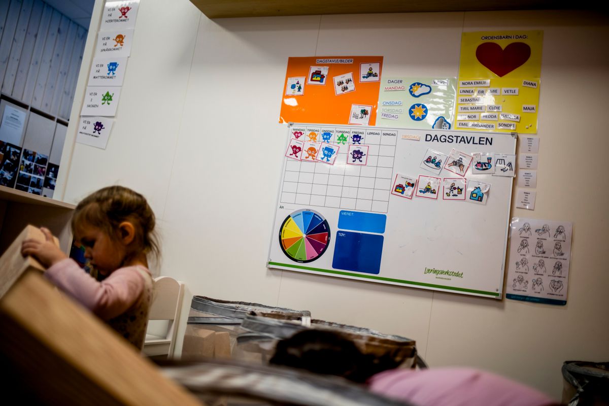 Mer kommunalisering neppe rett medisin, alle den tid private barnehager leverer tjenester av minst like høy kvalitet, og dessuten koster kommunene vesentlig mindre enn kommunale barnehager per plass, skriver Anne Lindboe.