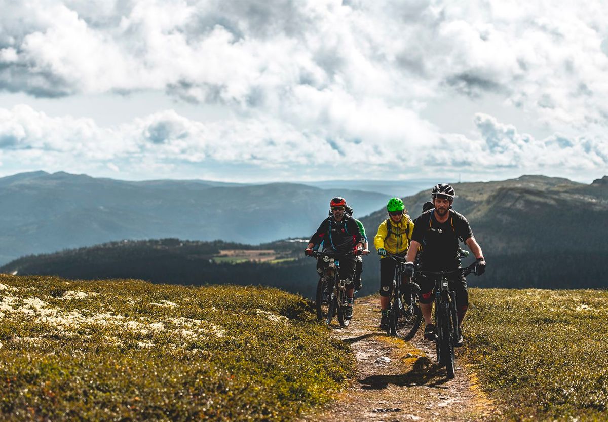 På Ringebufjellet kan du dra på guidede sykkeltur i sommer.