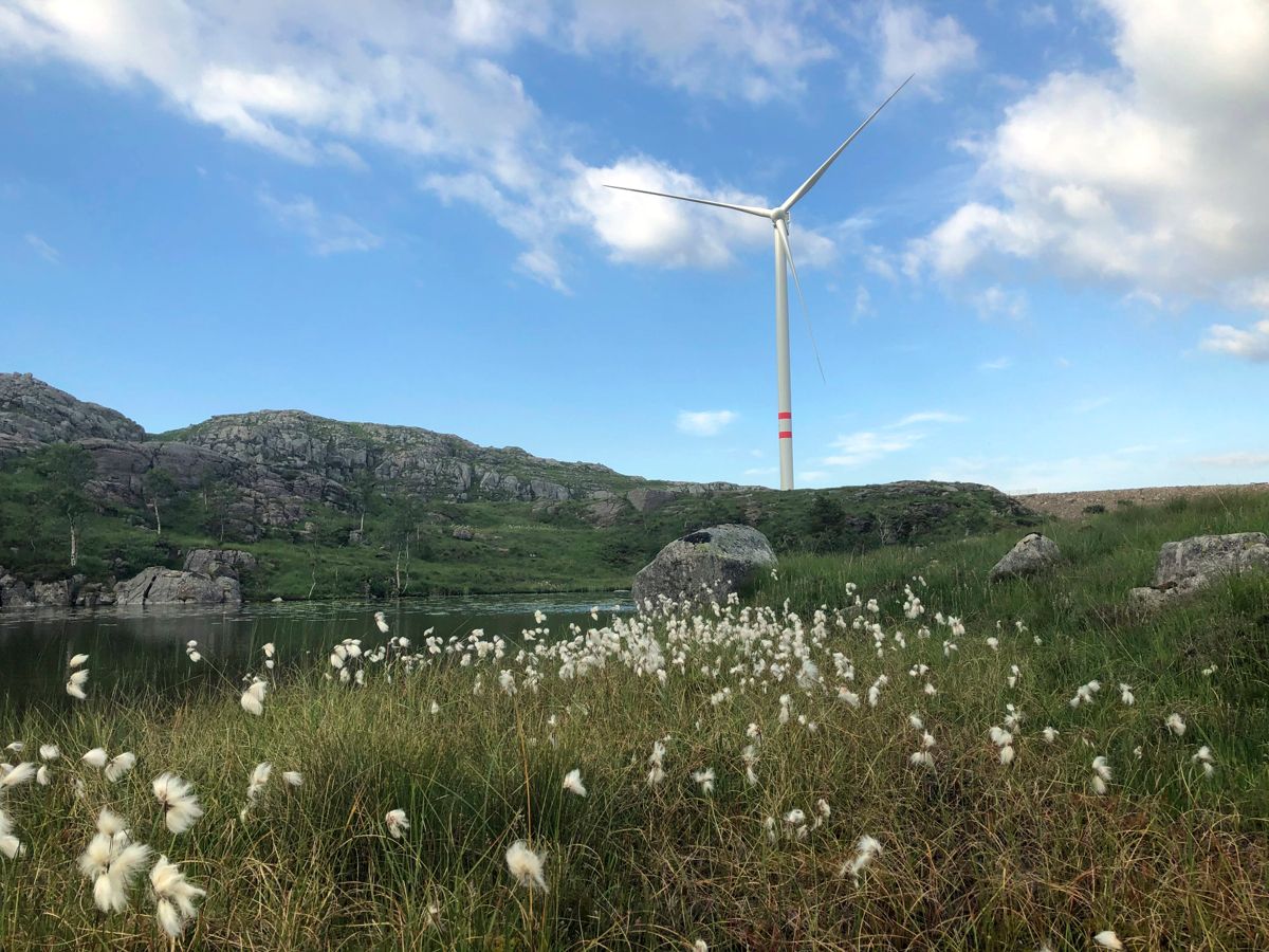 Vardafjellet vindkraftverk i Sandnes kommune er omstridt. Nå har Klima- og miljødepartementet bestemt at kommunens vedtak om støyutslipp skal oppheves.