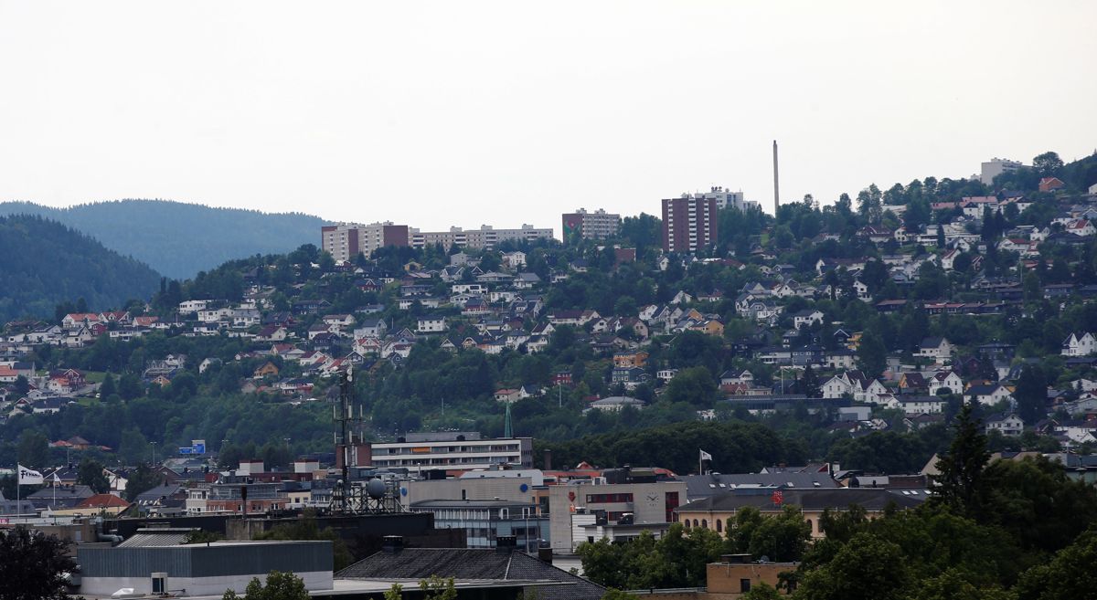 Hovedmålet for områdesatsingen på Fjell i Drammen var økt sysselsetting og færre på lavinntekt i 2020 sammenliknet med 2010. Satsingen Fjell 2020 ble avsluttet ved utgangen av året 2019.