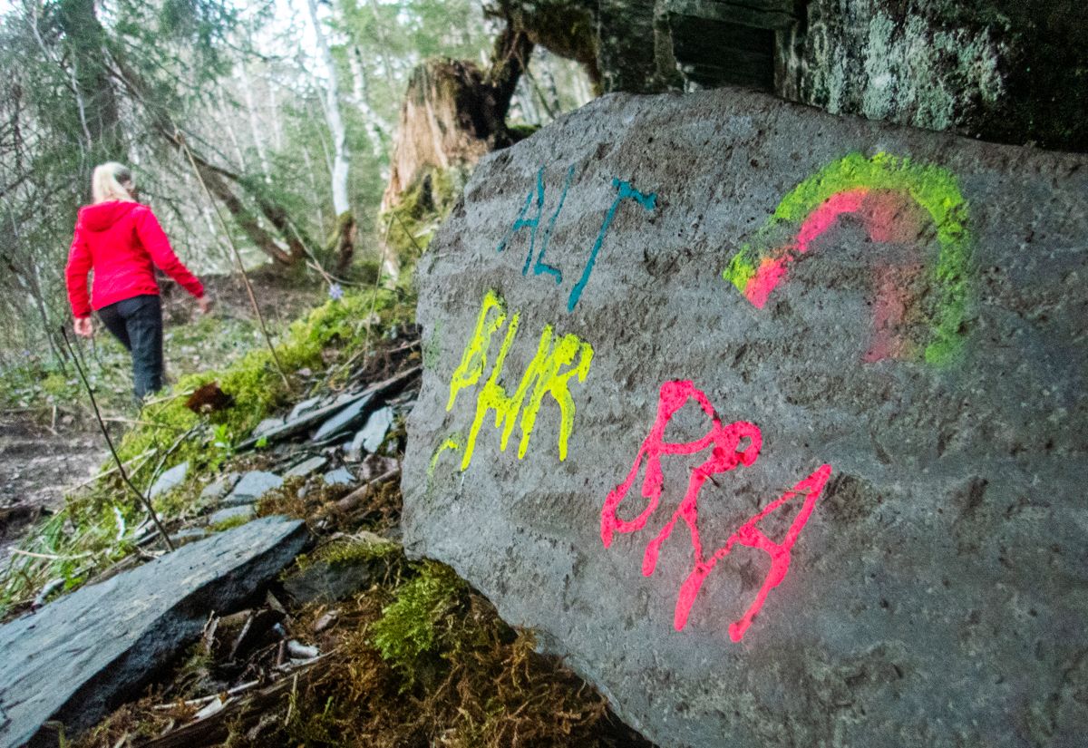 – Eg er redd for at folk rett og slett vert trøytta ut av pålegg og tiltak før vi kjem i ein situasjon der vi får eit lokalt smitteutbrot, skriv Seljord-ordførar Beate Marie Dahl Eide (Sp). Ho er særleg bekymra for barn og unge.