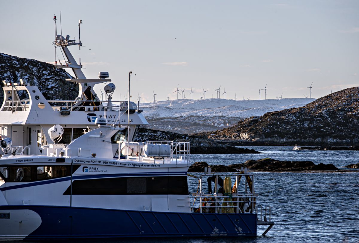 Stadig nye næringer melder seg på med krav om plass i kystsonen, skriver Kristin F. Strømskag og Tom Myrvold.