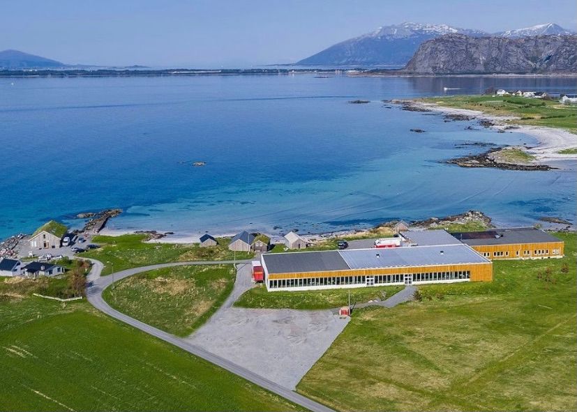På øya Giske i Giske kommune startet Møllers tran sin produksjon i 1852. I dag er tranproduksjonen byttet ut med ca. 50 arbeidsplasser, i blant annet et lydstudio, et eventselskap, et filmselskap og programutviklere.