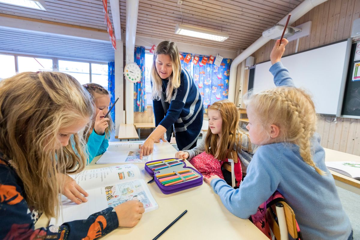 I dag er det lærerspesialister innenfor blant annet realfag, norsk lese- og skriveopplæring, yrkesfag, begynneropplæring for 1.-4. trinn og fremmedspråk.