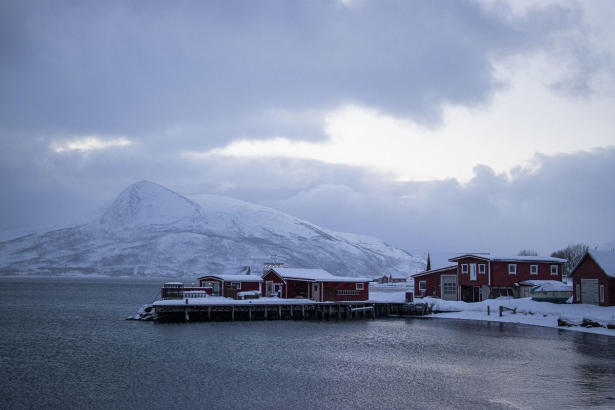 Karlsøy er en av kommunene som opplever økning i folketallet for første gang på mange år.