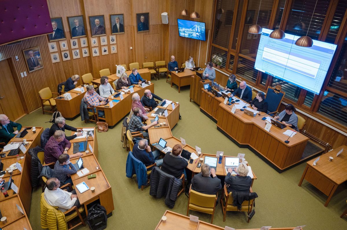 Valglistene bør oppleves som relevante og representative for velgerne, og de folkevalgte organene bør ha medlemmer med varierende alder, yrkesbakgrunn, utdannelse, kjønn og etnisitet.