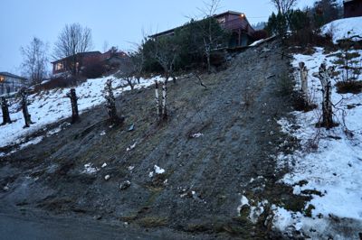 Det har gått flere små jordskred i Bergslia i Meldal kommune. Dette bildet er tatt etter ekstremværet Gyda 13. januar i år.