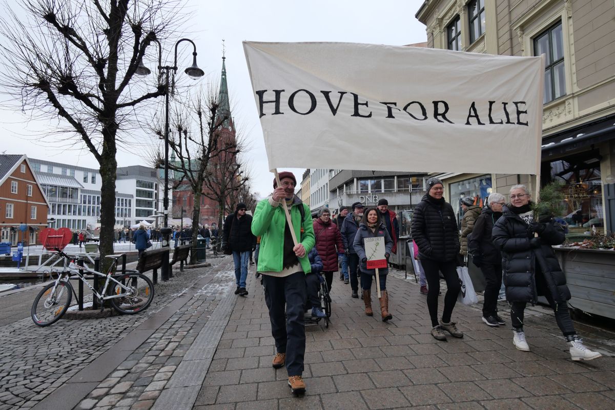 I Arendal klarte aksjonsgruppa "Hove for alle" å samle 800 demonstranter i slutten av februar. Aksjonsgruppa står bak et innbyggerforslag om å stanse den vedtatte reguleringsplanen for Hove-området.