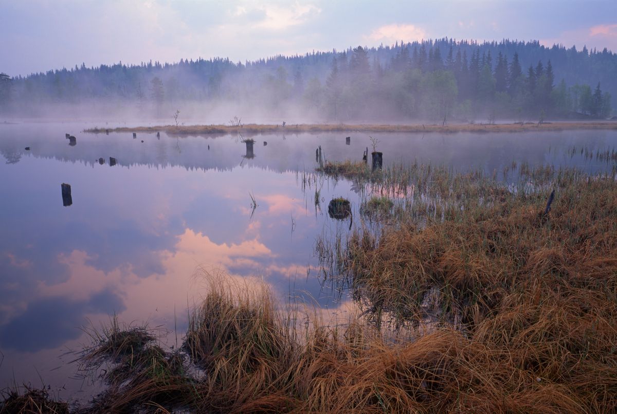 Hva skjer om vi drenerer myra, bygger ned fjæra og hogger ned skogen, og hvordan henger det sammen med de nasjonale målene for ivaretakelse av natur? spør Maja Stade Aarønæs i Sabima.