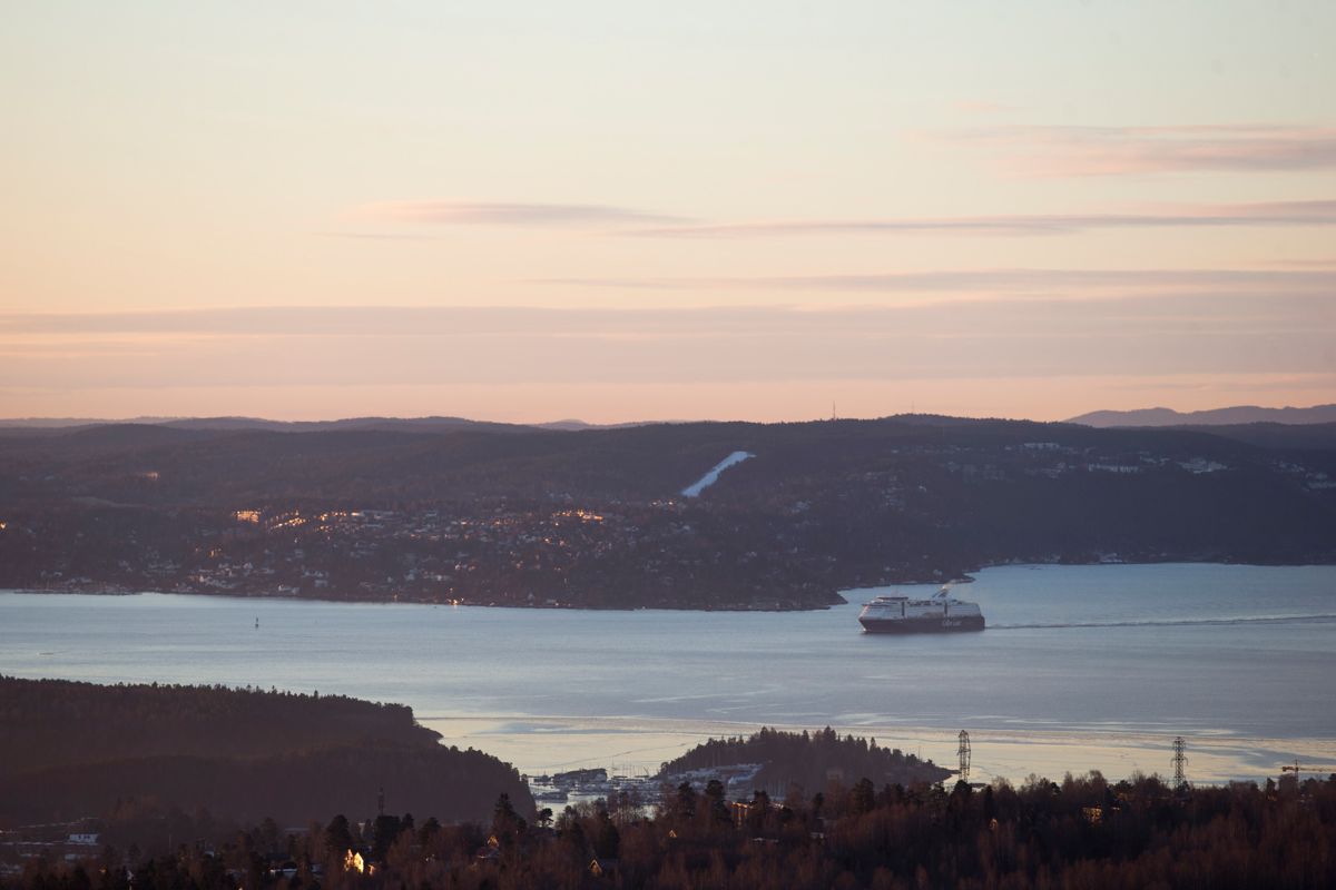 Det er langt igjen før miljømålene for Oslofjorden nås, mener Miljødirektoratet.
