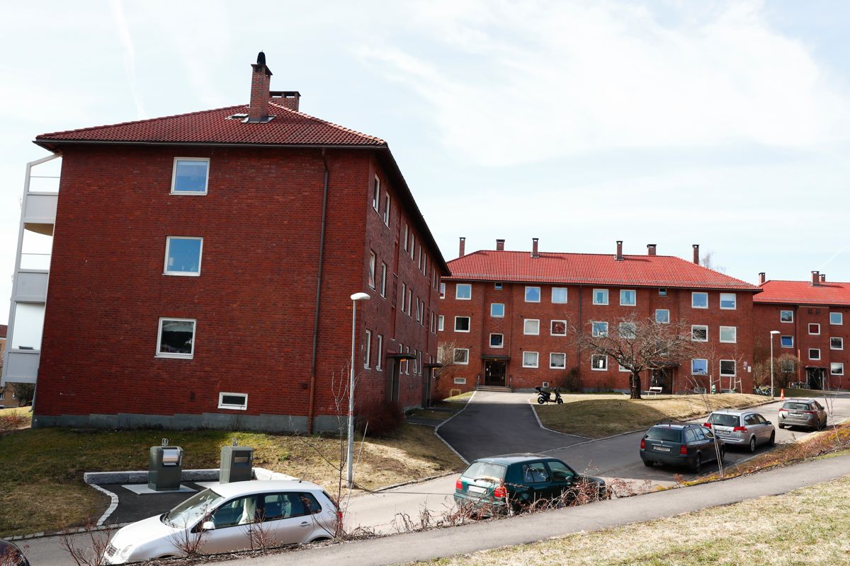 Husbanken må tilføres midler som kan motivere borettslagene til å oppgradere den eldre blokkbebyggelsen til framtidens gode boliger, skriver Bente Johansen.