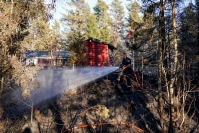 Mye tørke framover skaper frykt for skogbrann. Brannvesenet jobbet med å slukke en skogbrann mellom Enningdalen og Kornsjø ved svenskegrensen sør for Halden i 2022.