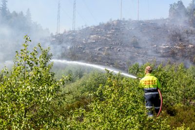 2018 var et toppår for skog- og gressbranner. Her er mannskaper fra Oslo brann- og redningsetat i ferd med å slukke en skogbrann på Romsås i Oslo.