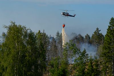 Rundt ett mål i et nyetablert hogstfelt i Vestby brant nylig. To helikoptre er i området for å bistå.