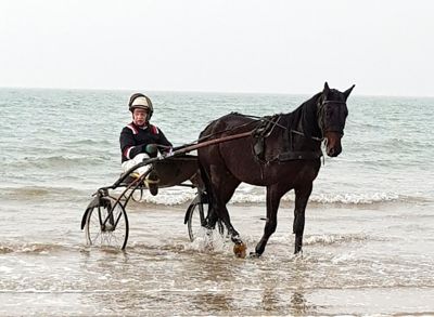 Per Dag Hole ved kysten i Frankrike med hesten Robin G.T., som kjørte inn 852.000 kroner på fire år. Hole hadde hesten på vintertrening i Frankrike.