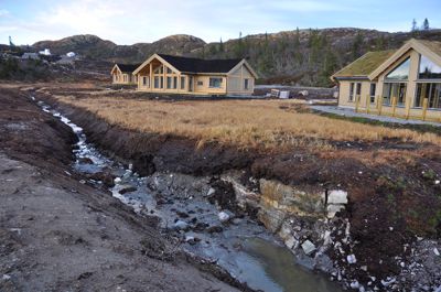 Disse nyoppførte hyttene i Høgevarde-området i Flå ble plassert i myra gjennom en reguleringsplan vedtatt i 2017. Bildet er tatt i 2022.