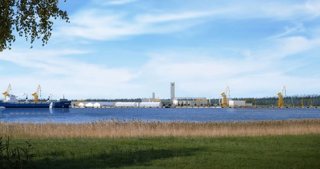 Stålfabriken i Joddböle ska enligt planerna vara 40 hektar stor.