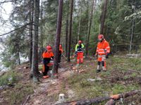 Fr.v. Sanni Kilpinen, Maria Sandberg, Tomi Berg och Ulf Wikström deltog i Finlands Svenska Brand- och Räddningsförbunds motorsågskurs i Karis för frivilliga brandkårister. Wikström fungerade som en av kursens tre utbildare.