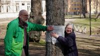 Sari Rahkonen är beredd att ta upp en juridisk kamp för att träden bevaras. Timo Noroviita deltar i aktionen.