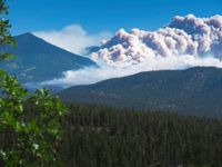 2 500 bostäder har evakuerats i närheten av Flagstaff i Arizona, där skogsbränder rasar.