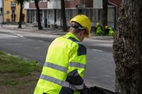 Parkavdelningen brukar vara lockande för sommarjobbare.