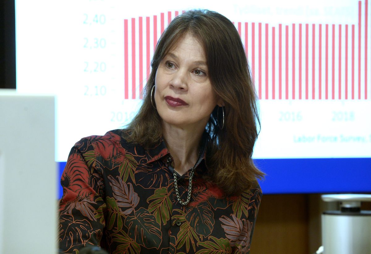 Finland kommer att behöva arbetskraftsinvandring, säger Elina Pylkkänen. Men det är ett hårt jobb, eftersom andra länder konkurrerar om samma arbetstagare.