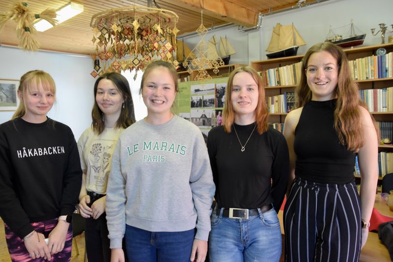 Liise Varblane (13), Gertlin Kanarbik (14), Andra Nora Paulus (11), Katarina Kõiveer (15) och Merilyn Juhkam (17) träffas minst en gång i månaden på Aibolands museum i Hapsal för att spela tagelharpa.