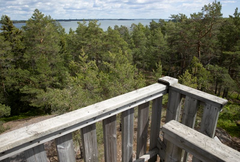 Utsiktstornet på Stora Kalvholmen är lite för lågt för att man ska få en bra helhetsbild över skärgården i Esbo, träden i den skogiga terrängen har vuxit sig så höga.