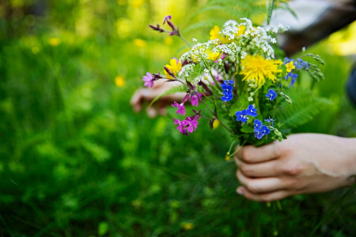 Att samla sju eller nio sorters blommor och sova med dem under huvudkudden är ett exempel på midsommarmagi som fortfarande praktiseras i våra dagar.